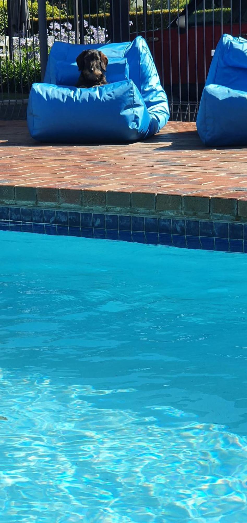 Parkview Motor Inn And Apartments Wangaratta Luaran gambar